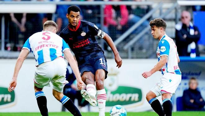 沃尔夫领导 沃尔夫领导