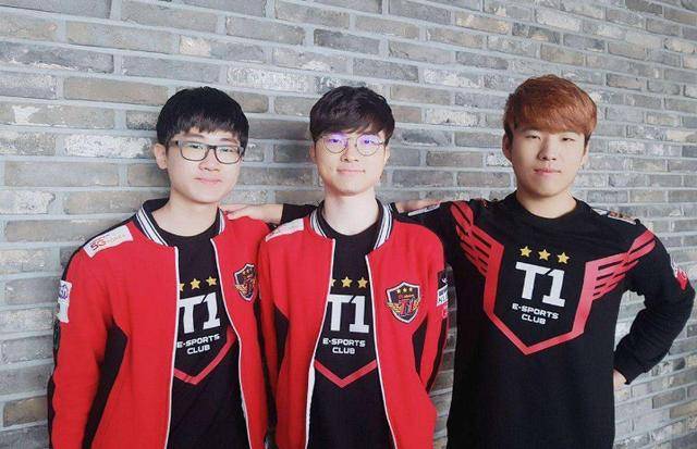 对反应速度 对反应速度