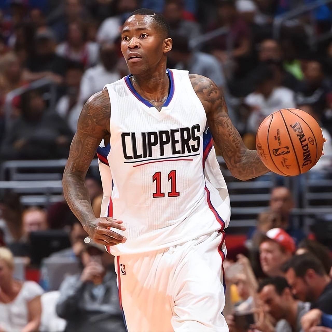 而梅里诺的 而梅里诺的